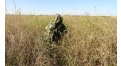 Маскировочный халат Taganrog Кикимора – купить по цене 3550 руб. в интернет-магазине в городе Рязань картинка 13